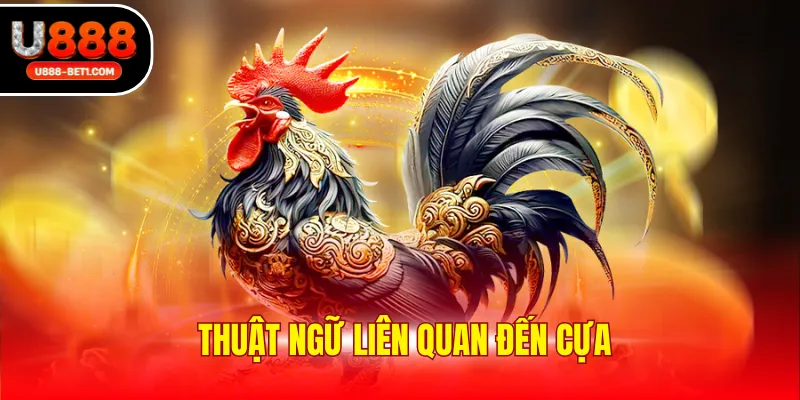 Thuật ngữ liên quan đến cựa
