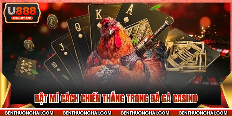 Bật mí cách chiến thắng trong đá gà casino
