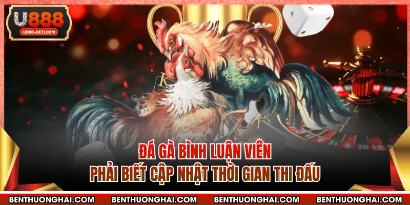 Đá gà bình luận viên phải biết cập nhật thời gian thi đấu