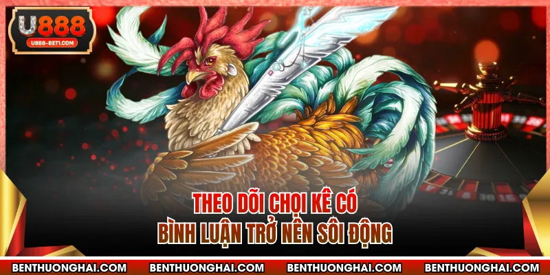 Theo dõi chọi kê có bình luận trở nên sôi động