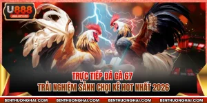 Trực Tiếp Đá Gà 67 - Trải Nghiệm Sảnh Chọi Kê Hot Nhất 2026